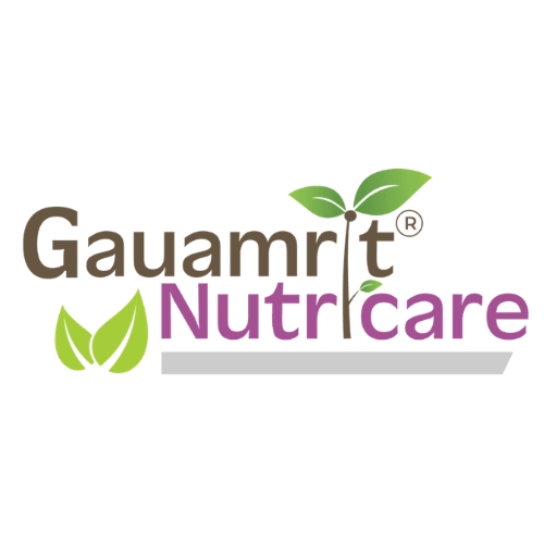 Untitled design (32)